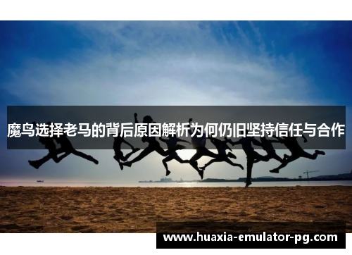 魔鸟选择老马的背后原因解析为何仍旧坚持信任与合作