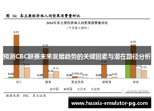 预测CBC联赛未来发展趋势的关键因素与潜在路径分析 预测CBC联赛未来发展趋势的关键因素与潜在路径分析