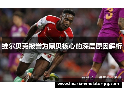 维尔贝克被誉为黑贝核心的深层原因解析 维尔贝克被誉为黑贝核心的深层原因解析