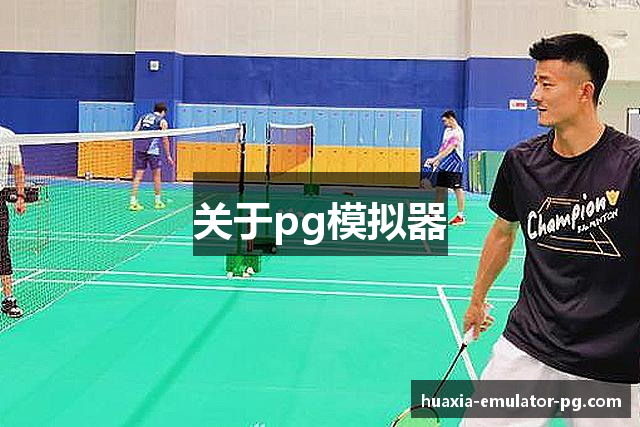 关于pg模拟器